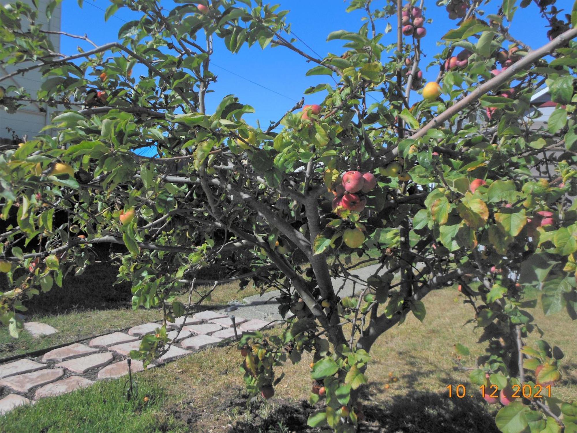 Alameda 2Br 2Ba House, Ac, Near Ferry To San Francisco, 2 Free Parking Spaces Bagian luar foto